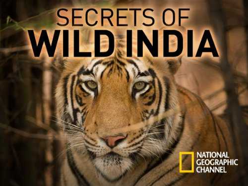 Secrets of Wild India 